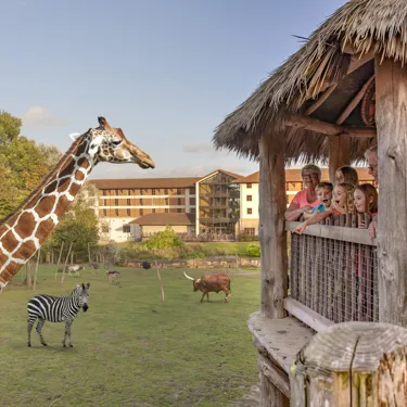 Chessington World of Adventures Resort