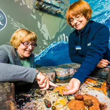 Touchpool at the National SEA LIFE Centre Birmingham