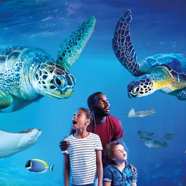 SEA LIFE Manchester