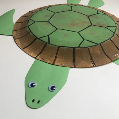 How to create a turtle