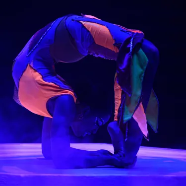 Blackpool Tower Circus