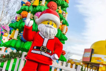 Meet Lego Santa And Friends