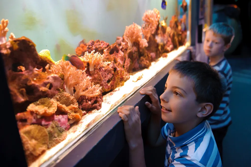 SEA LIFE Scarborough