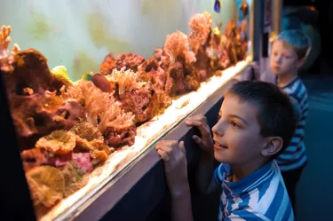 SEA LIFE Scarborough