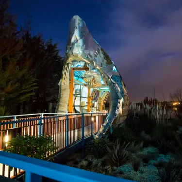 THORPE Shark Hotel