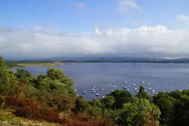 Loch Lomond Scenery