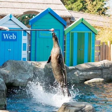 SEA LIFE Weymouth