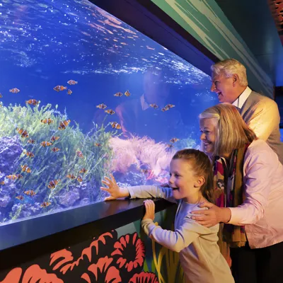 SEA LIFE London