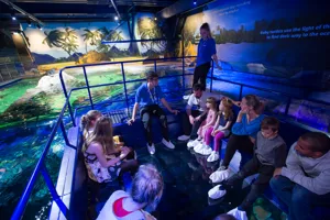 Glass Bottom Boat at SEA LIFE Brighton