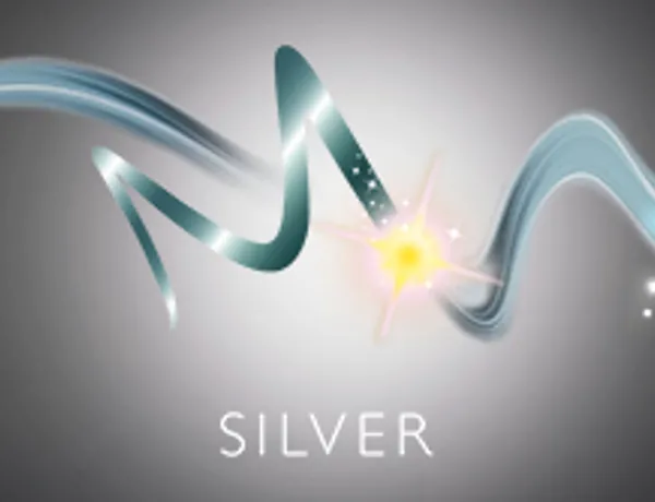 Merlin Silver Pass