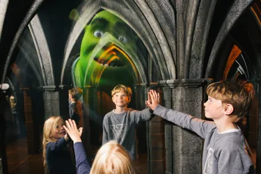 Shrek's Adventure! London