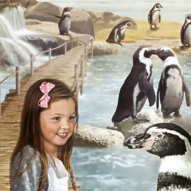 SEA LIFE Scarborough