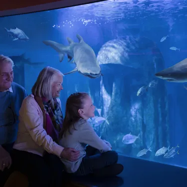 SEA LIFE London