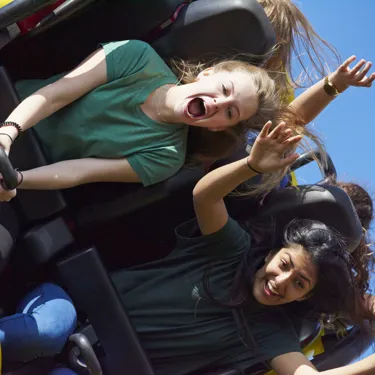 Dragon's Fury at Chessington World of Adventures Resort