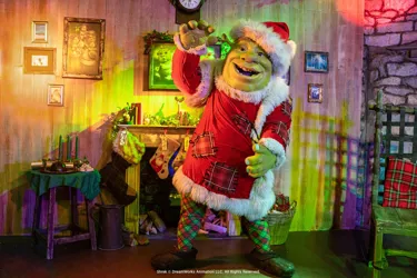 XMAS SHREK !